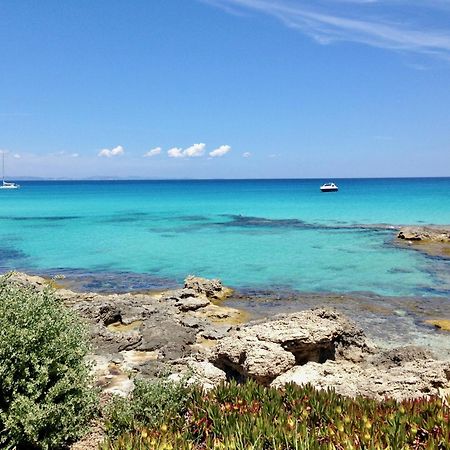 Apartments Campanitx - Astbury Formentera إس كالو المظهر الخارجي الصورة