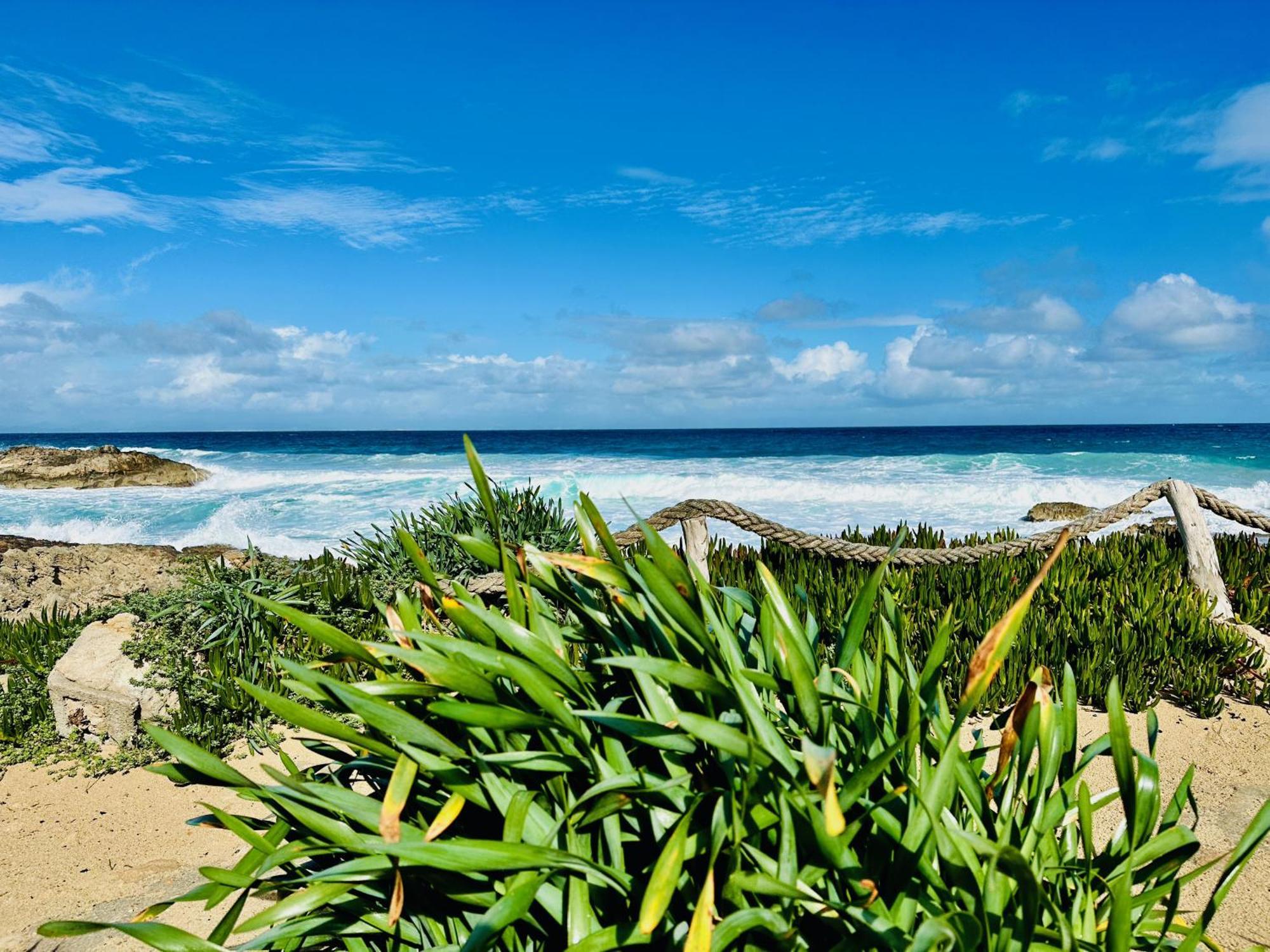 Apartments Campanitx - Astbury Formentera إس كالو المظهر الخارجي الصورة